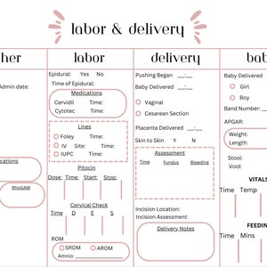 Labor and Delivery Report Sheet / Nursing Report Sheet / L&D Report ...