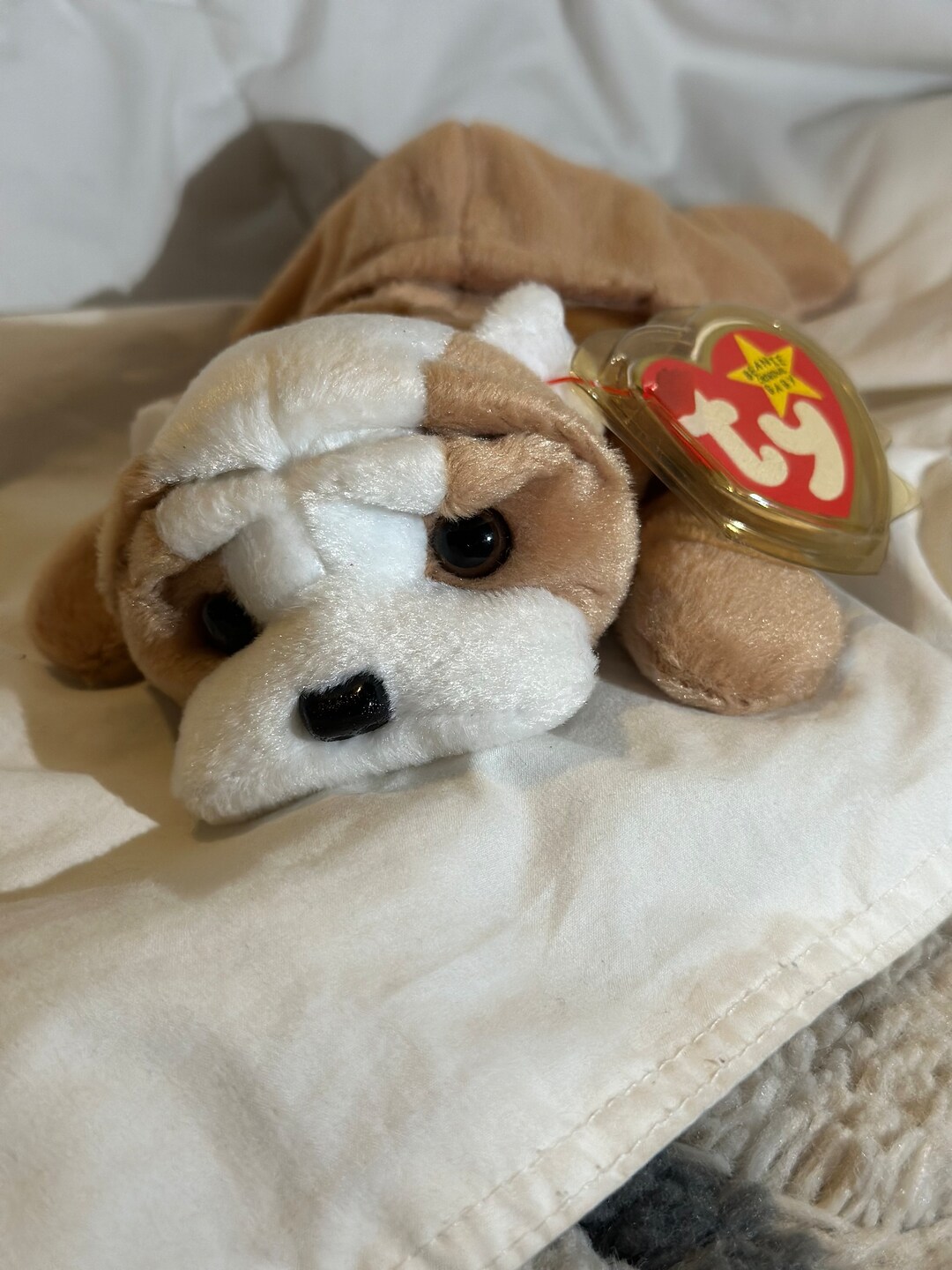 Wrinkles Beanie Baby Etsy