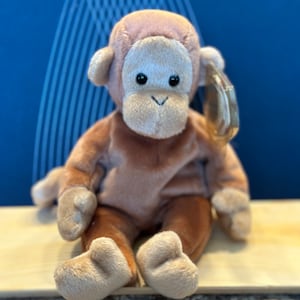Bongo beanie baby RARE