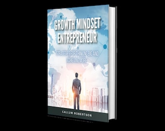 The Mindset Entrepreneur - Strategies For Thinking Big And Achieving More