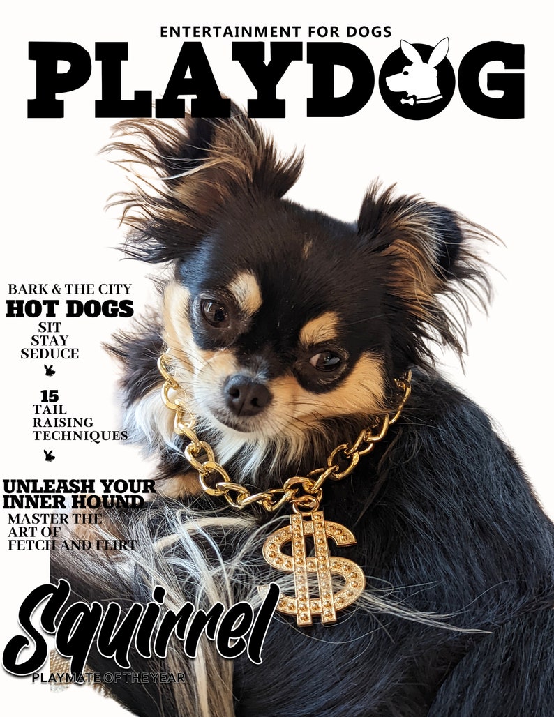 Custom Pet Portrait, Custom Pet Magazine, Dog Portrait, Custom Dog Gift, Custom Dog Art, Custom Dog Magazine Cover Playdog