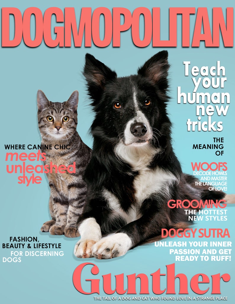 May include: A magazine cover featuring a black and white border collie dog and a tabby cat. The magazine is titled "Dogmopolitan" and features the text "Teach your human new tricks" and "The meaning of Woofs".