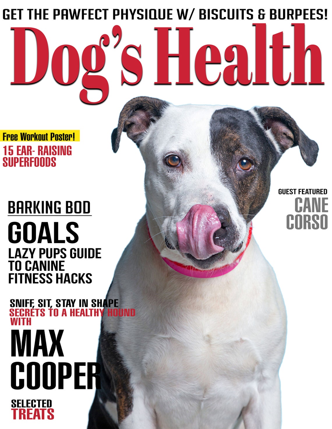 Custom Dog Portrait, Custom Dog Magazine Cover, Custom Pet Art, Custom