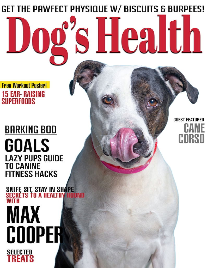 May include: A magazine cover featuring a black and white Cane Corso dog with its tongue sticking out. The magazine is titled "Dog's Health" and has the tagline "Get the Pawfect Physique w/ Biscuits & Burpees!" The cover also features the text "Barking Bod Goals", "Lazy Pups Guide to Canine Fitness Hacks", "Sniff, Sit, Stay in Shape Secrets to a Healthy Hound with Max Cooper", and "Selected Treats".