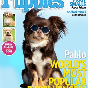 Custom Pet Portrait, Custom Pet Magazine, Dog Portrait, Custom Dog Gift, Custom Dog Art, Custom Dog Magazine Cover Puppies
