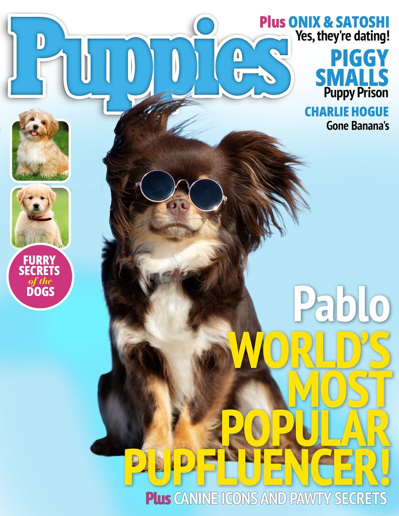 Custom Pet Portrait, Custom Pet Magazine, Dog Portrait, Custom Dog Gift, Custom Dog Art, Custom Dog Magazine Cover Puppies