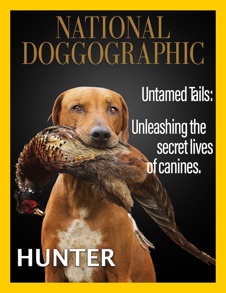 May include: A brown and white dog with a pheasant in its mouth. The dog is looking at the camera. The image is from National Doggraphic magazine. The text on the magazine cover reads "Untamed Tails: Unleashing the secret lives of canines." and "HUNTER".