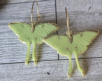 Luna moth earrings, moths, celestial  earrings, cottagecore, witchy, stainless steel hoop, earrings, dangle earrings
