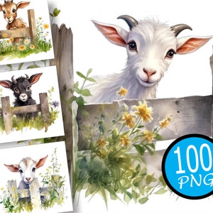 100 Baby Goat in fence Clipart, Watercolor goats clipart, Cute Baby Goat Clipart, goat with flowers, cute goat png, Instant Download