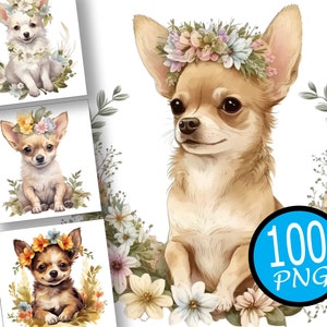 100 Chihuahua in flowers Clipart,Chihuahua Watercolor Clipart,chihuahua clipart,chihuahua puppy,Card Making,Digital Download,commercial use
