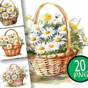 20 Gänseblümchen Korb Clipart Gänseblümchen Korb Clipart Blumenkörbe Bundle Aquarell Blumenkorb Digitale Planer Junk Journal Digitaler Download