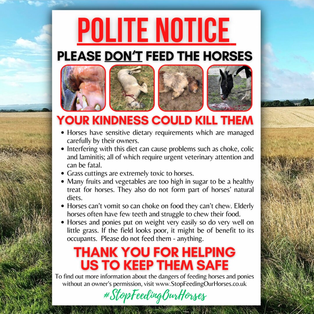 Polite Please Don’t Feed the Horses Notice on A4 Foamex - Etsy UK