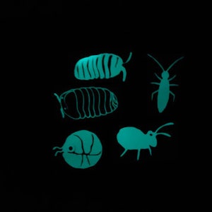 Isopod and Springtail Glow-In-The-Dark Stickers