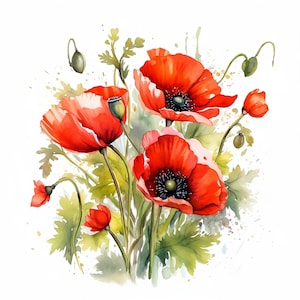 Mohnblumen Clipart, 20 hochwertige JPGs, Papierbasteln, Mischtechnik, Kartenherstellung, digitaler Download, Aquarell
