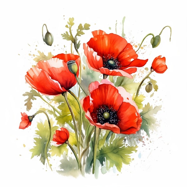 Clipart coquelicots, 20 JPG de haute qualité, artisanat en papier, techniques mixtes, fabrication de cartes, téléchargement numérique, aquarelle