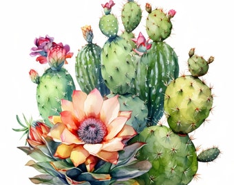 Cactus Clipart, 20 High Quality JPGs, paper craft, mixed media, card making, digital download, watercolor