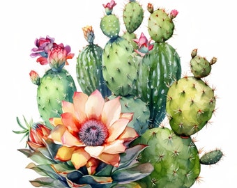Clipart de cactus, 20 JPG de alta calidad, arte de papel, técnica mixta, creación de tarjetas, descarga digital, acuarela