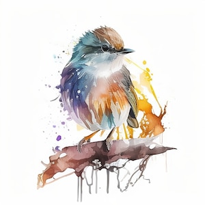 Aquarell Vögel Clipart, 20 hochwertige JPGs, digitales Papier Handwerk, Mischtechnik, Kartenherstellung, digitaler Download