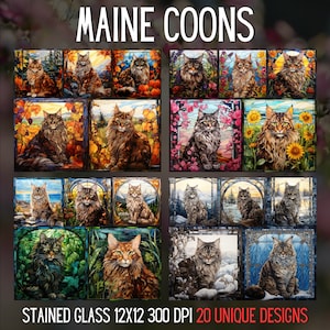 20 Vitraux saisonniers Maine Coon Cat Bundle Automne Printemps Été Hiver Sublimation Design Animal Decor Papier numérique JPG Junk Journal Kit
