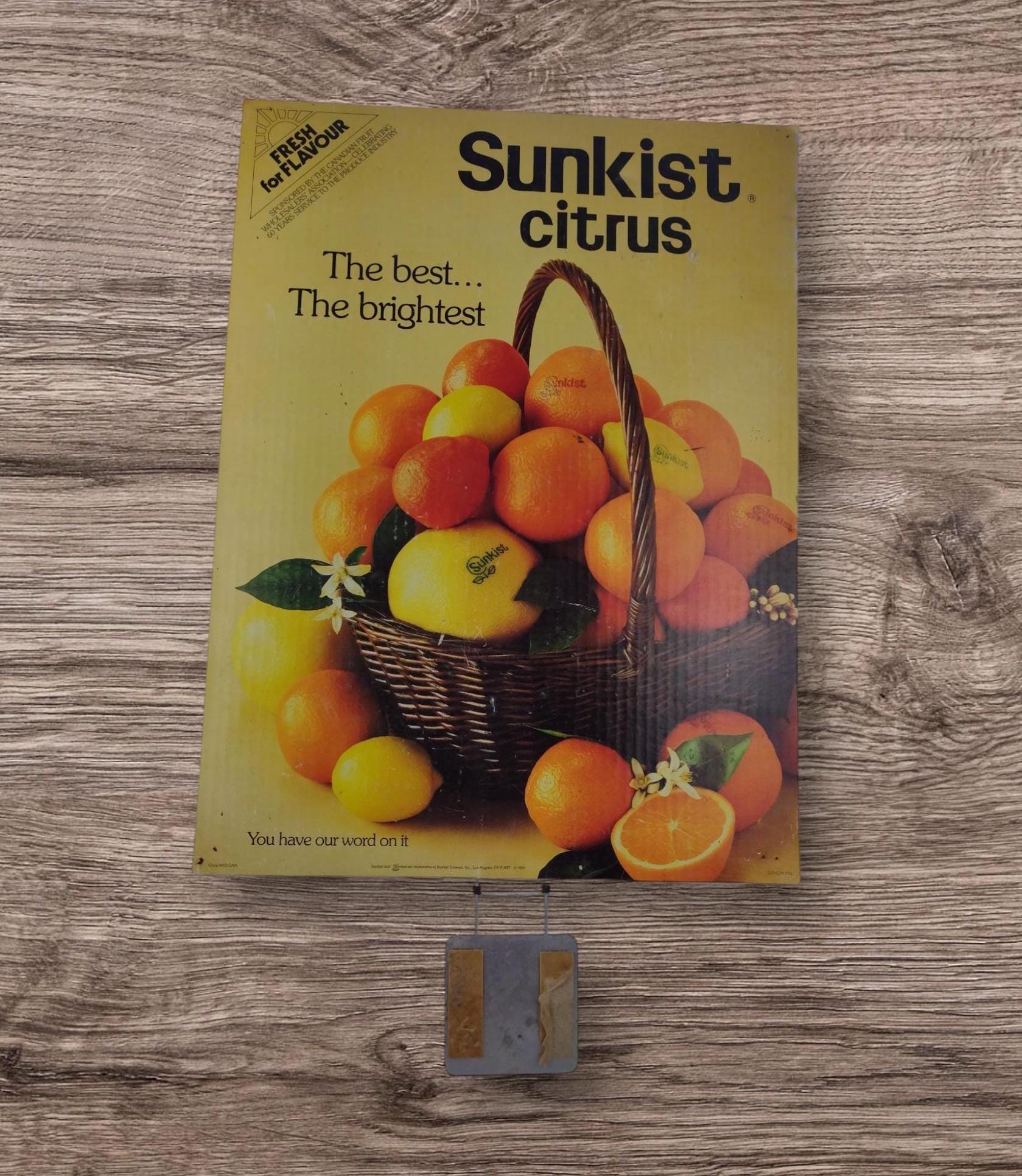 Sunkist Store Display Paper Sign / サンキスト Vintage 1985 Sunkist Citrus Store Display – Double-sided