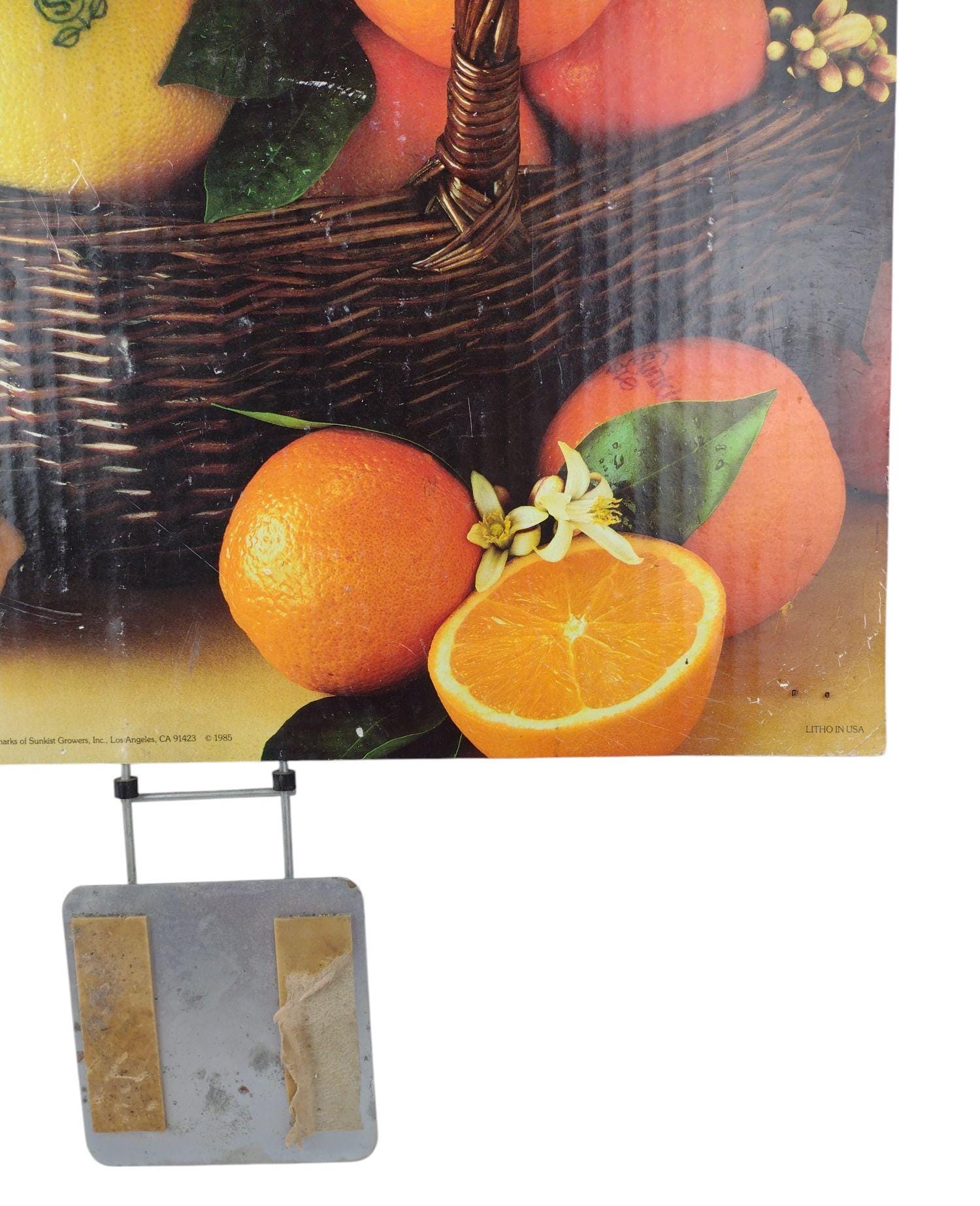 Sunkist Store Display Paper Sign / サンキスト Vintage 1985 Sunkist Citrus Store Display – Double-sided