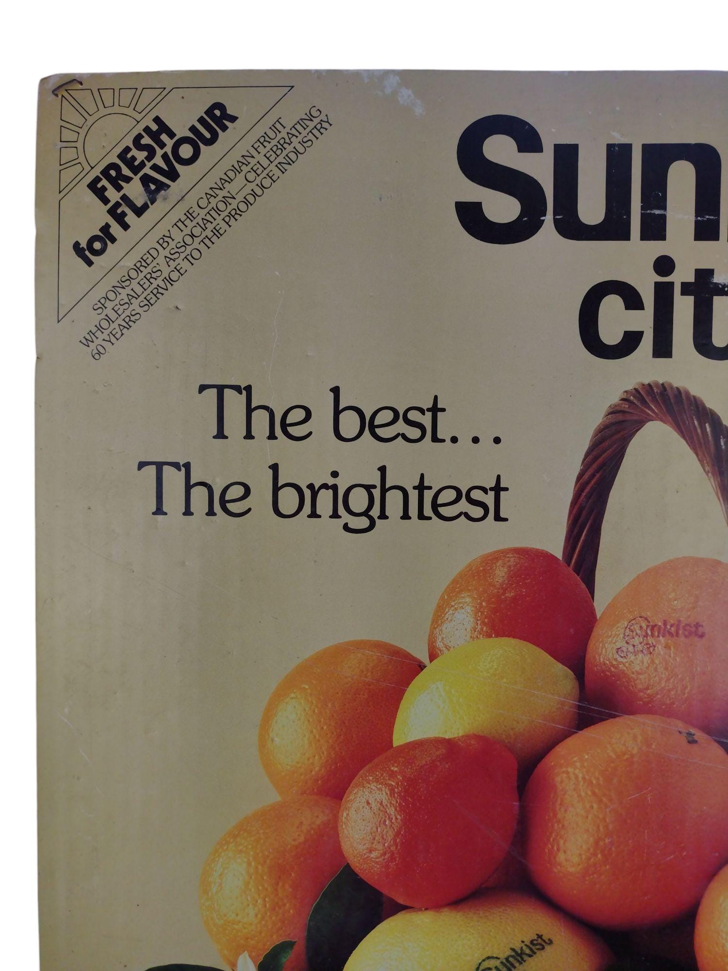Sunkist Store Display Paper Sign / サンキスト $_12.JPG?set_id=880000500F