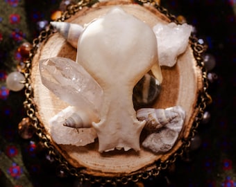Duck Skull Memorial