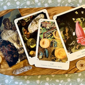 The Mushroom Oracle -- 44 Card Deck & Guidebook -- Divination - Guidance - Magic - Beauty - Mushrooms!