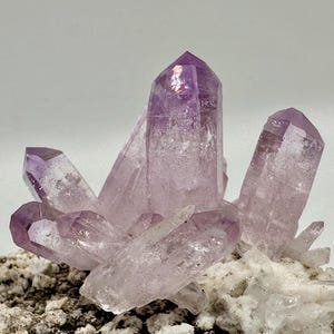 Vera Cruz Amethyst Crystal Cluster: Purple Quartz with Selenite (#5b)