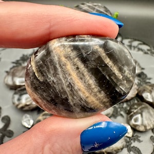Black Moonstone Palm Stones Polished Gemstone Crystals