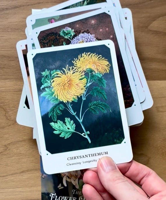 The Flower Oracle Deck - 44 Card Divination Deck and Guidebook - Etsy