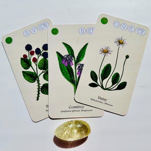 Wild Alchemy Lab : An Astro-Botanical Remedy Deck