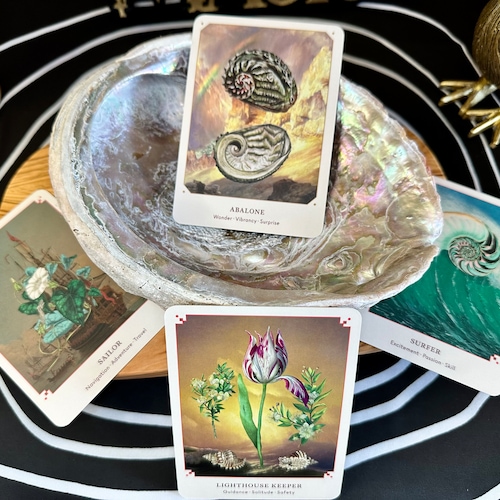 The Seashell Oracle- 44 Card Deck for Divination, Wisdom of the