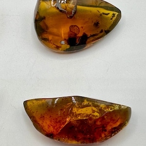 Chiapas Amber Specimen: Large Polished Mexican Amber, UV Reactive Crystal