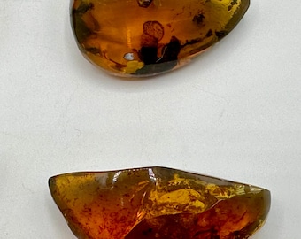 Chiapas Amber Specimen: Large Polished Mexican Amber, UV Reactive Crystal