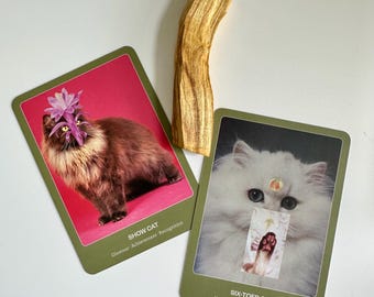 May include: Two oracle cards featuring cat illustrations, with a piece of Palo Santo wood. One card has a brown cat with a flower, the text "SHOW CAT", and the words "Glamour, Achievement, Recognition". The other card has a white cat and the text "SIX-TOED CAT".