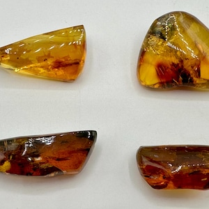 Chiapas Amber Crystal Specimen: Polished Mexican Amber, UV Reactive