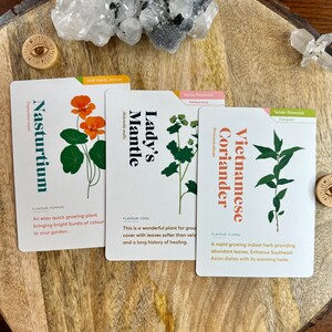 Herb Care Cards, 35 Cards, Learn to Grow Herbs, Gardening