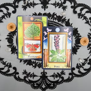 May include: Two rectangular oracle cards featuring botanical illustrations. The left card displays a green nettle plant, a butterfly, and the text NETTLES. The right card shows a poke plant, figures, and the text POKE. Both cards have dark borders.