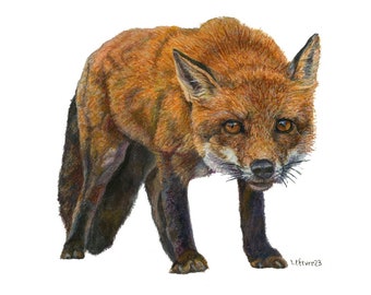 Fox print wall art print watercolor painting print red fox wall decor woodland art nursery gift