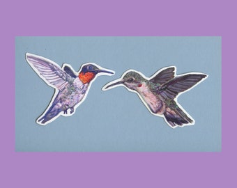 Magnets hummingbird fridge magnet set ruby throated hummingbirds animal magnet cute gift for her mother&#39;s day