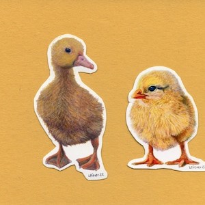 Magnete Baby Ente und Huhn Kühlschrankmagnet Set Tiermagnet niedliches Geschenk für ihren Tierliebhaber des Muttertags