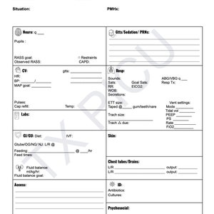 PICU Report Sheet Version 2