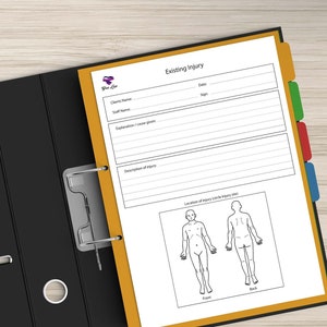 NDIS Befintliga Skador Rapport Digital Nedladdning