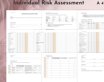 NDIS Individual Risk Assessment Profile Template Digital Download