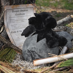Hatchable Black Dragon Egg with Plush Dragon