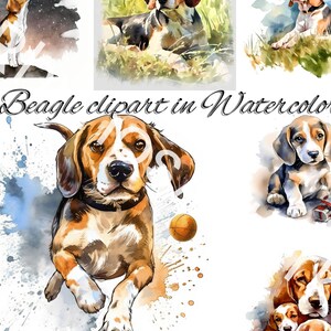 Beagle Watercolor Clipart
