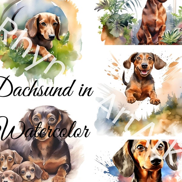 Dachshund Watercolor Clipart