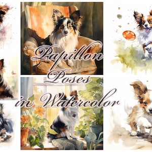 Papillon aquarel clipart