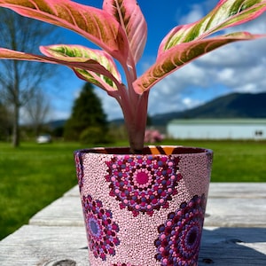 May include: A potted plant with vibrant pink and green leaves. The plant is in a pink ceramic pot decorated with a mandala-style dot pattern in shades of pink, purple, and blue. The pot sits on a wooden surface.